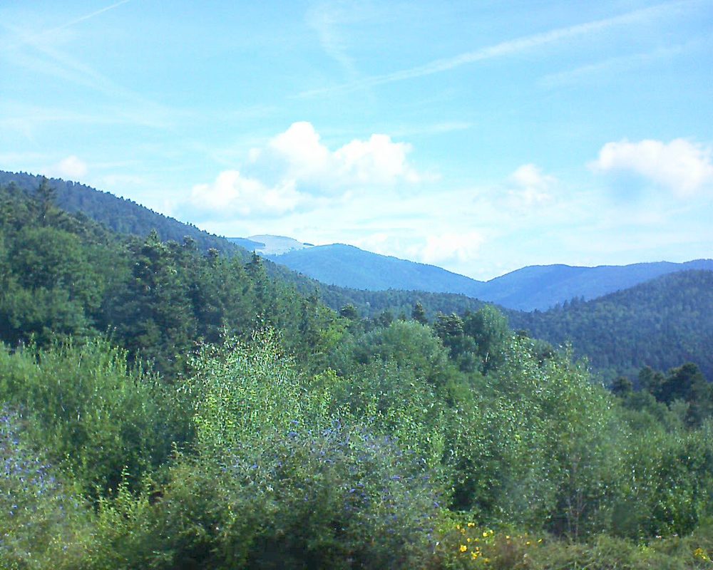 Le petit ballon vu depuis le Domaine Langmatt à Murbach le 29.07.2018 à 10:30 Le petit ballon (Alsace, Vosges) le 29.07.2018 à 10:30