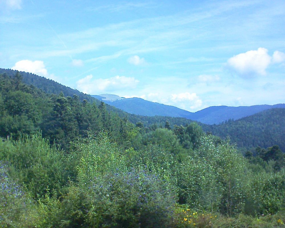 Le petit ballon vu depuis le Domaine Langmatt à Murbach le 29.07.2018 à 11:00 Le petit ballon (Alsace, Vosges) le 29.07.2018 à 11:00