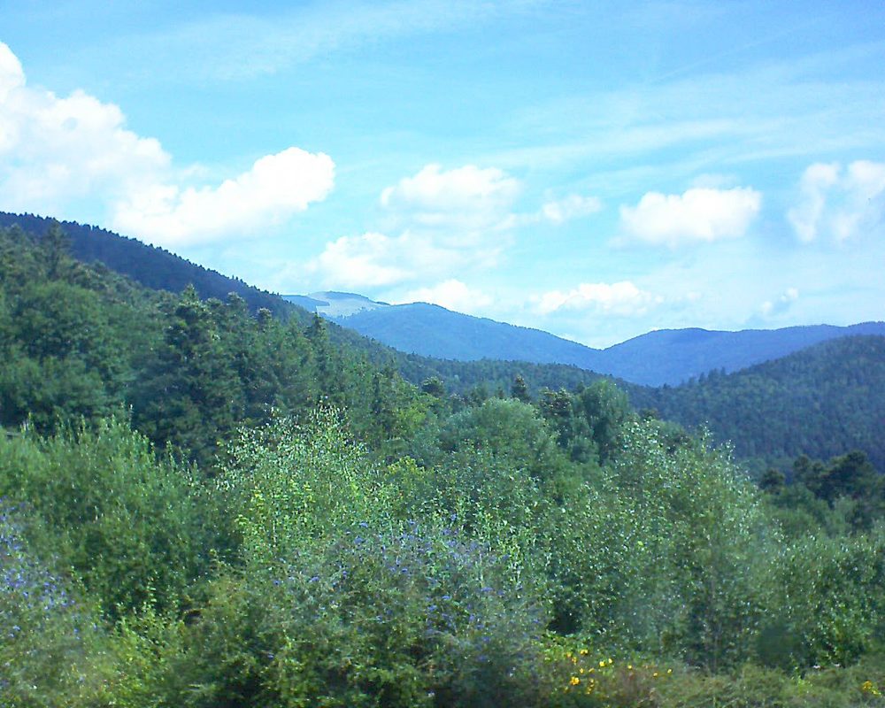 Le petit ballon vu depuis le Domaine Langmatt à Murbach le 29.07.2018 à 11:15 Le petit ballon (Alsace, Vosges) le 29.07.2018 à 11:15