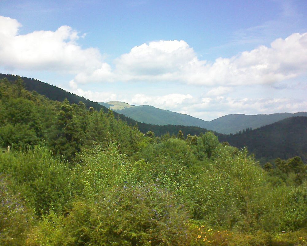Le petit ballon vu depuis le Domaine Langmatt à Murbach le 29.07.2018 à 13:00 Le petit ballon (Alsace, Vosges) le 29.07.2018 à 13:00