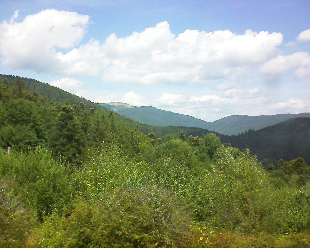 Le petit ballon vu depuis le Domaine Langmatt à Murbach le 29.07.2018 à 13:15 Le petit ballon (Alsace, Vosges) le 29.07.2018 à 13:15