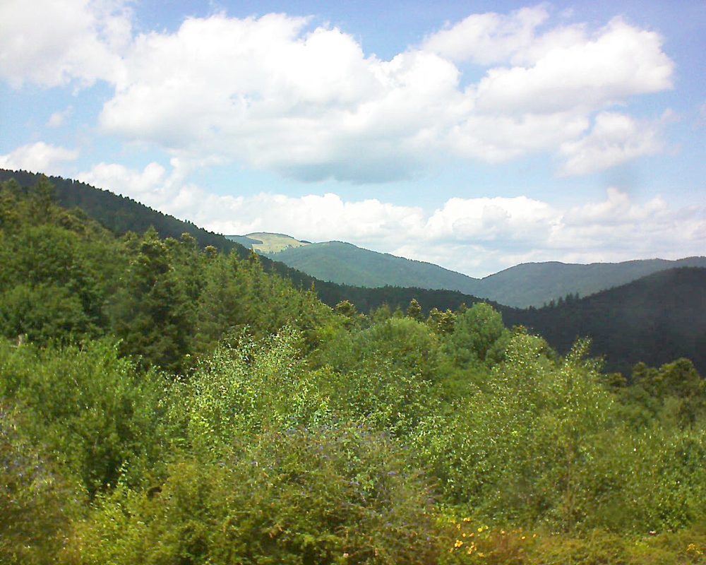 Le petit ballon vu depuis le Domaine Langmatt à Murbach le 29.07.2018 à 13:45 Le petit ballon (Alsace, Vosges) le 29.07.2018 à 13:45