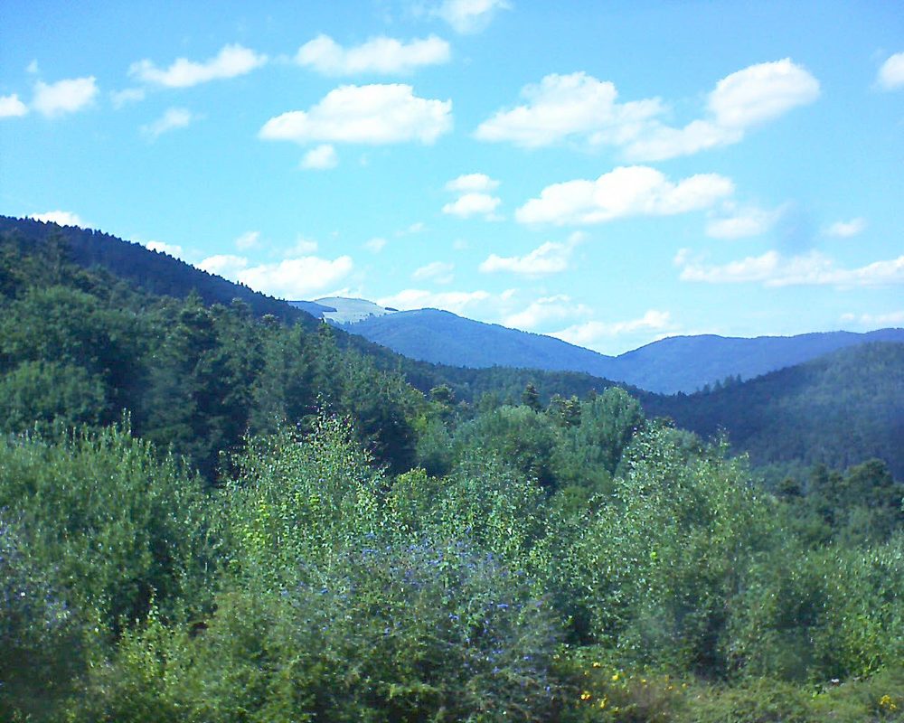 Le petit ballon vu depuis le Domaine Langmatt à Murbach le 29.07.2018 à 16:00 Le petit ballon (Alsace, Vosges) le 29.07.2018 à 16:00