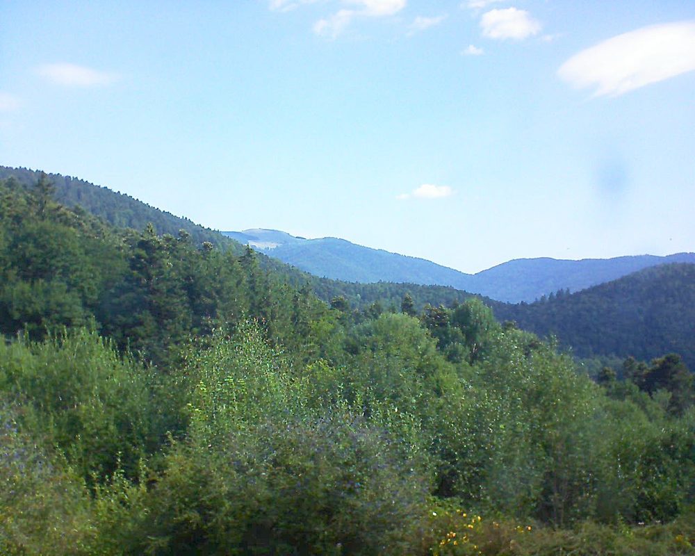 Le petit ballon vu depuis le Domaine Langmatt à Murbach le 31.07.2018 à 10:30 Le petit ballon (Alsace, Vosges) le 31.07.2018 à 10:30