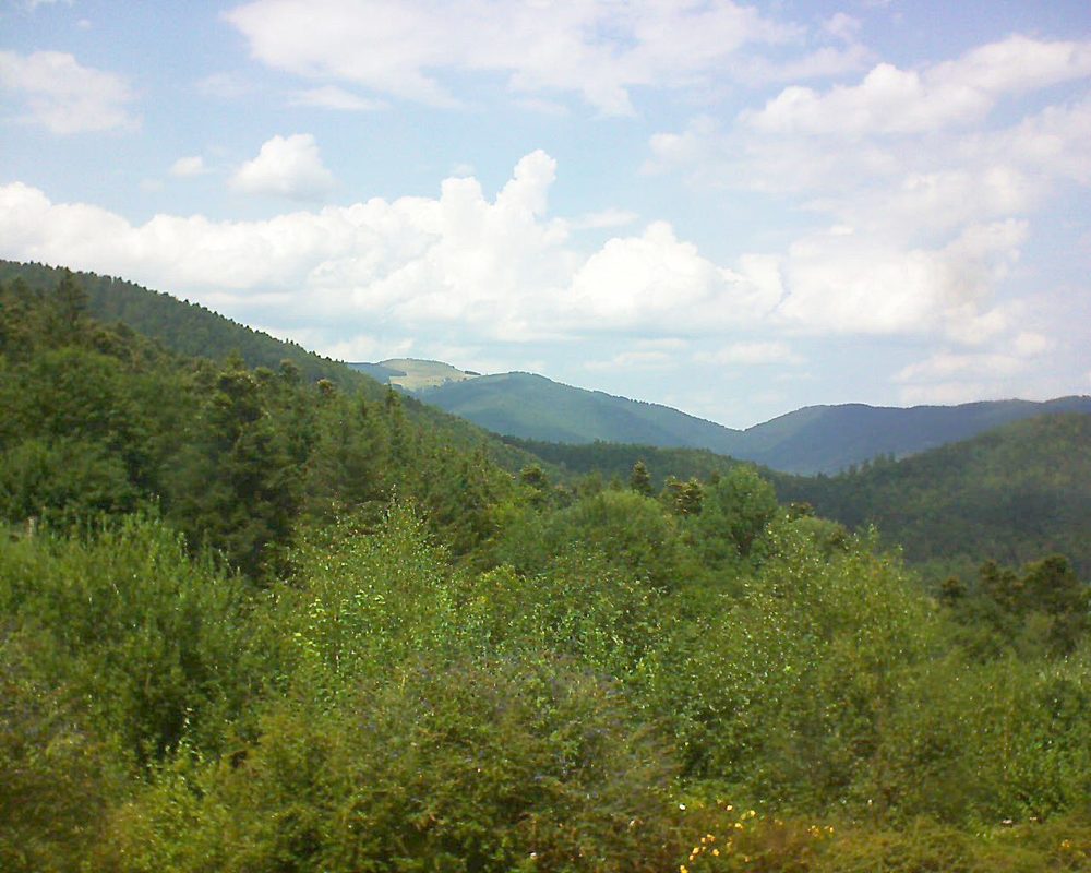 Le petit ballon vu depuis le Domaine Langmatt à Murbach le 31.07.2018 à 14:00 Le petit ballon (Alsace, Vosges) le 31.07.2018 à 14:00