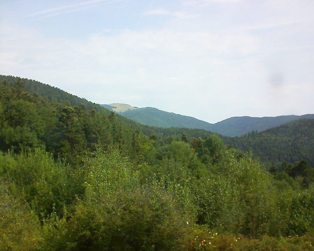 Le petit ballon vu depuis le Domaine Langmatt à Murbach le 01.08.2018 à 10:30 Le petit ballon (Alsace, Vosges) le 01.08.2018 à 10:30