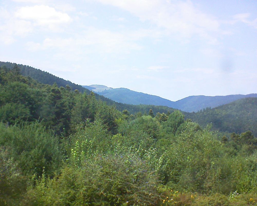 Le petit ballon vu depuis le Domaine Langmatt à Murbach le 01.08.2018 à 15:15 Le petit ballon (Alsace, Vosges) le 01.08.2018 à 15:15