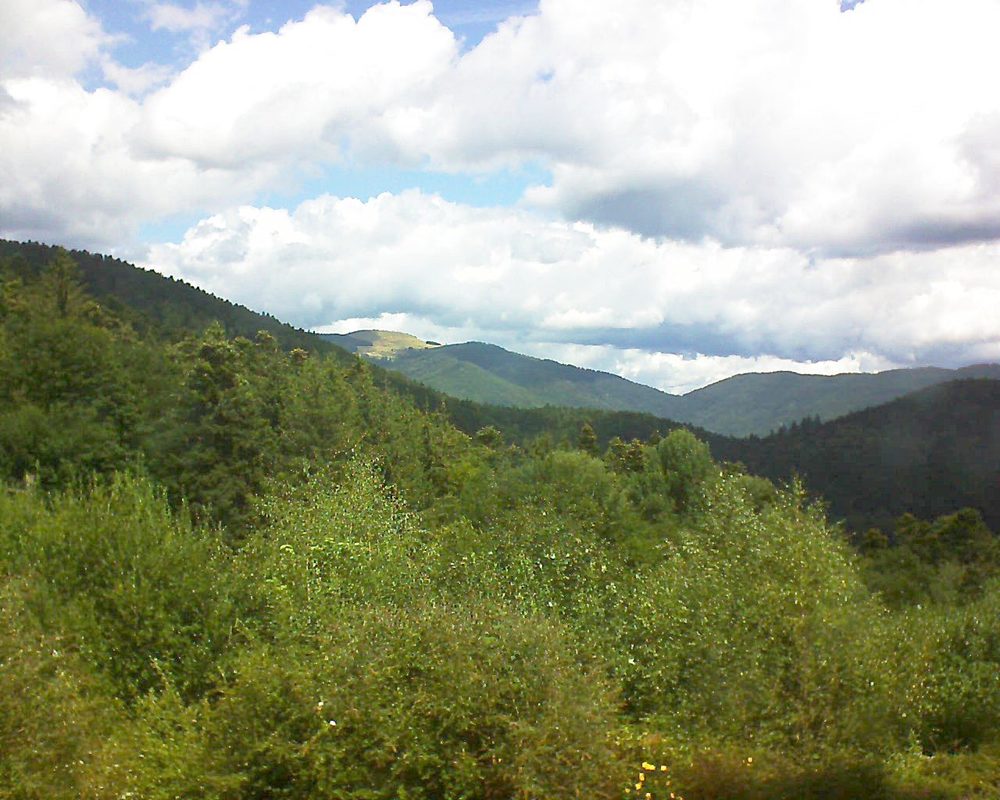 Le petit ballon vu depuis le Domaine Langmatt à Murbach le 10.08.2018 à 12:30 Le petit ballon (Alsace, Vosges) le 10.08.2018 à 12:30