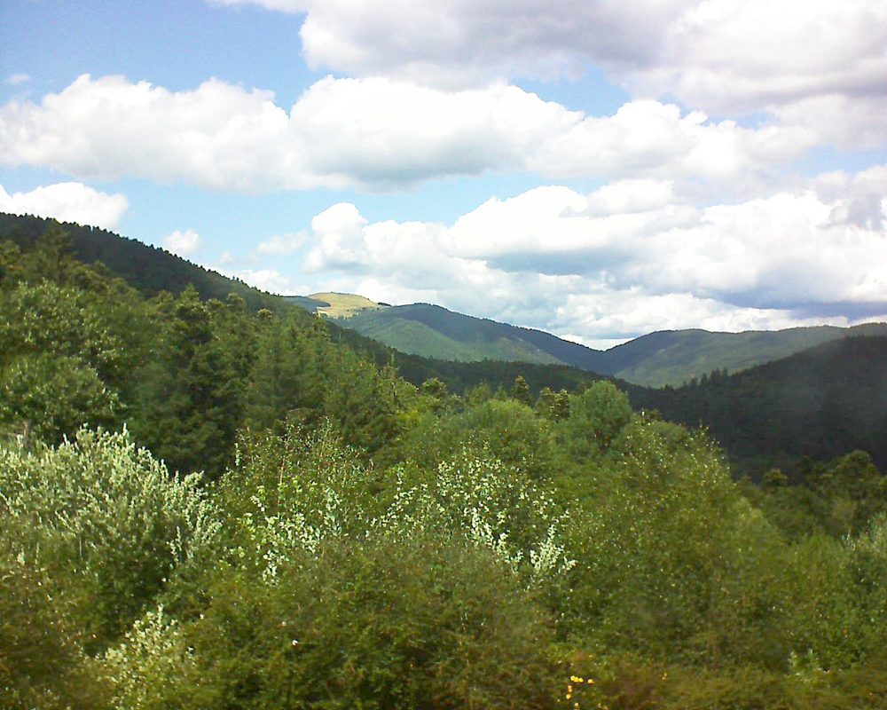 Le petit ballon vu depuis le Domaine Langmatt à Murbach le 10.08.2018 à 14:15 Le petit ballon (Alsace, Vosges) le 10.08.2018 à 14:15