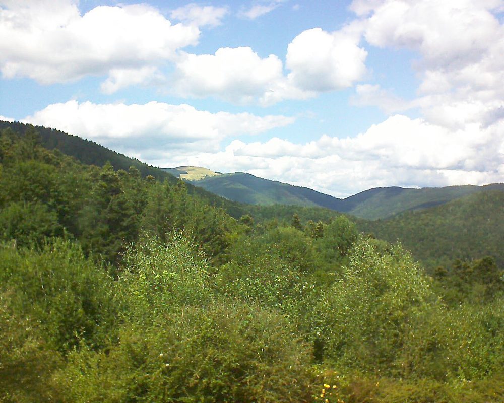 Le petit ballon vu depuis le Domaine Langmatt à Murbach le 10.08.2018 à 14:30 Le petit ballon (Alsace, Vosges) le 10.08.2018 à 14:30