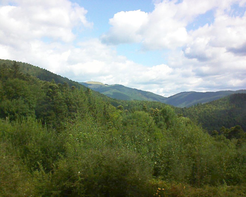 Le petit ballon vu depuis le Domaine Langmatt à Murbach le 11.08.2018 à 11:00 Le petit ballon (Alsace, Vosges) le 11.08.2018 à 11:00