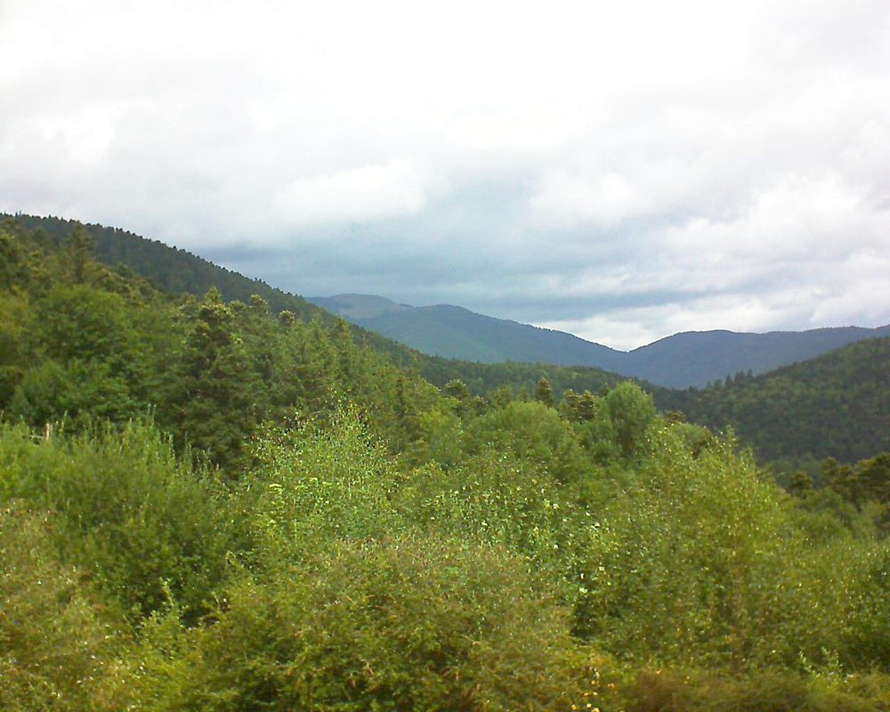 Le petit ballon vu depuis le Domaine Langmatt à Murbach le 13.08.2018 à 12:30 Le petit ballon (Alsace, Vosges) le 13.08.2018 à 12:30
