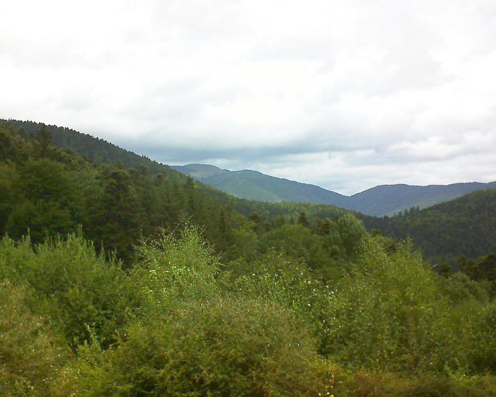 Le petit ballon vu depuis le Domaine Langmatt à Murbach le 13.08.2018 à 12:45 Le petit ballon (Alsace, Vosges) le 13.08.2018 à 12:45