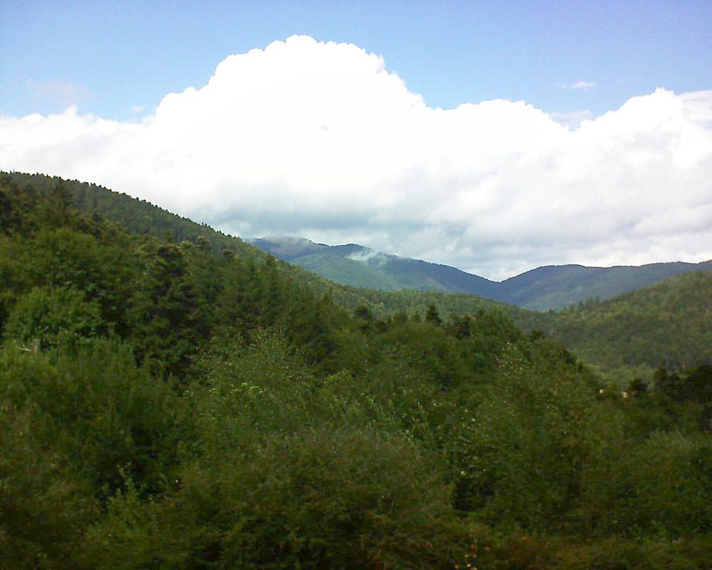 Le petit ballon vu depuis le Domaine Langmatt à Murbach le 13.08.2018 à 14:30 Le petit ballon (Alsace, Vosges) le 13.08.2018 à 14:30