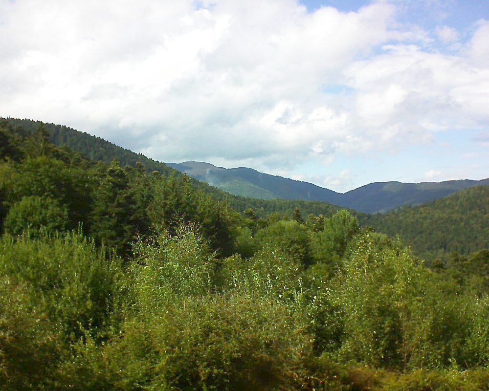 Le petit ballon vu depuis le Domaine Langmatt à Murbach le 13.08.2018 à 16:30 Le petit ballon (Alsace, Vosges) le 13.08.2018 à 16:30