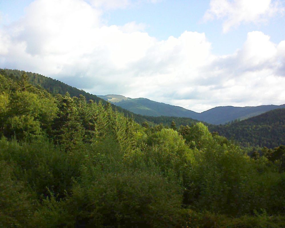 Le petit ballon vu depuis le Domaine Langmatt à Murbach le 14.08.2018 à 08:45 Le petit ballon (Alsace, Vosges) le 14.08.2018 à 08:45