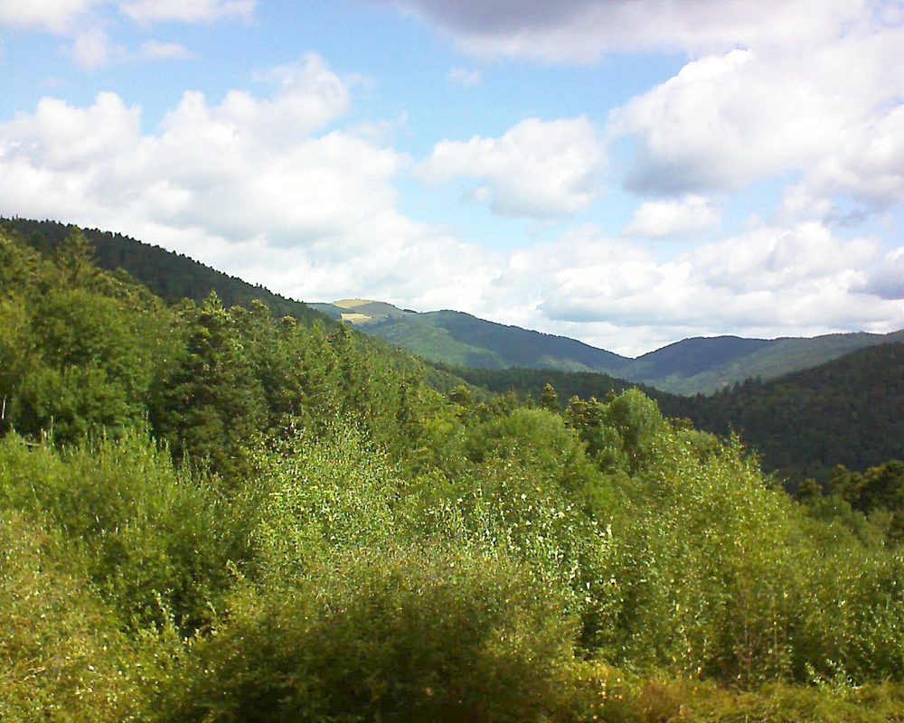 Le petit ballon vu depuis le Domaine Langmatt à Murbach le 14.08.2018 à 10:45 Le petit ballon (Alsace, Vosges) le 14.08.2018 à 10:45