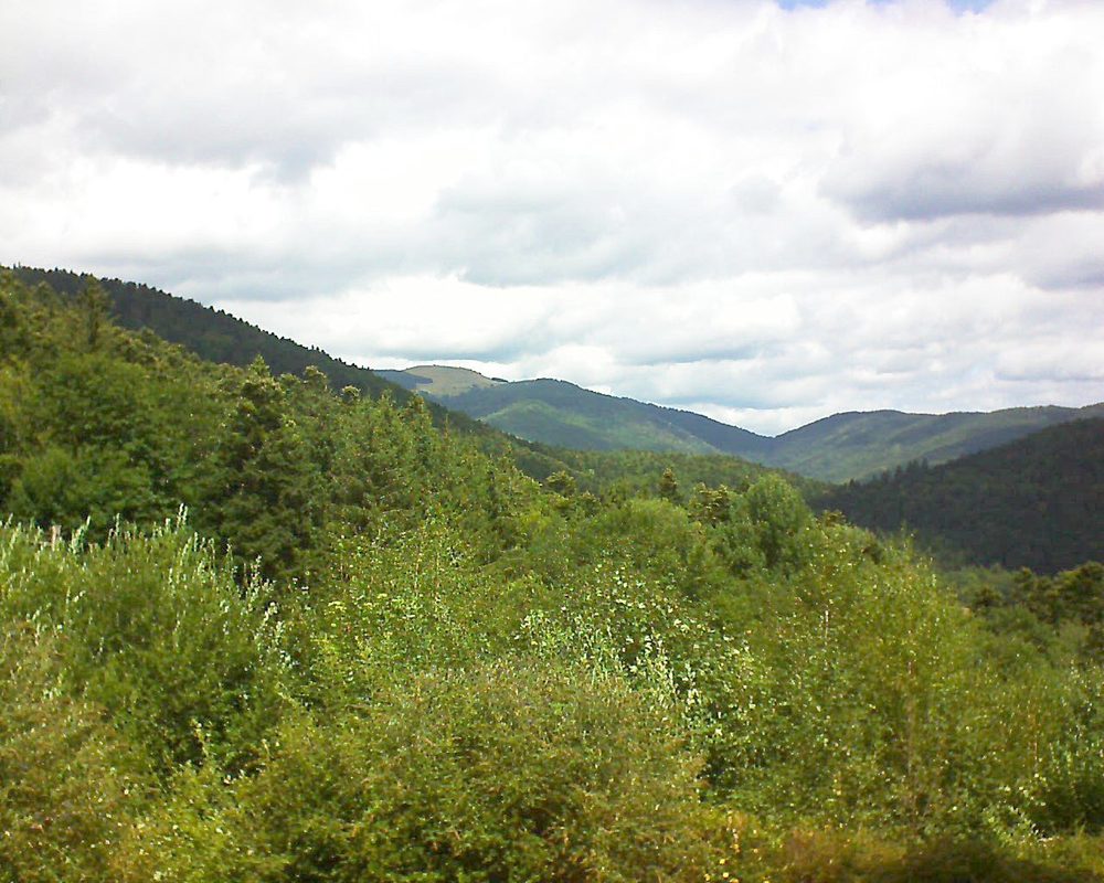 Le petit ballon vu depuis le Domaine Langmatt à Murbach le 14.08.2018 à 12:45 Le petit ballon (Alsace, Vosges) le 14.08.2018 à 12:45