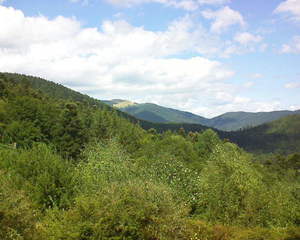 Le petit ballon vu depuis le Domaine Langmatt à Murbach le 14.08.2018 à 13:45 Le petit ballon (Alsace, Vosges) le 14.08.2018 à 13:45