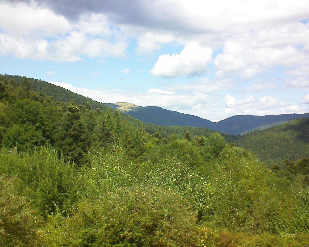 Le petit ballon vu depuis le Domaine Langmatt à Murbach le 14.08.2018 à 14:00 Le petit ballon (Alsace, Vosges) le 14.08.2018 à 14:00