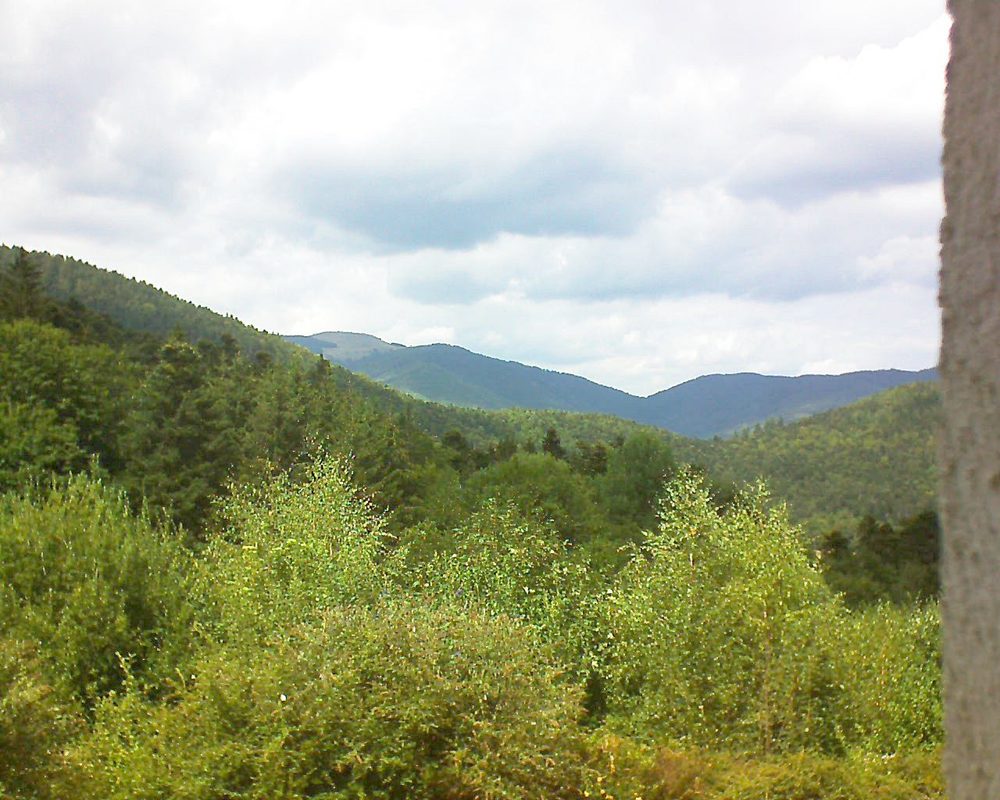 Le petit ballon vu depuis le Domaine Langmatt à Murbach le 15.08.2018 à 14:30 Le petit ballon (Alsace, Vosges) le 15.08.2018 à 14:30
