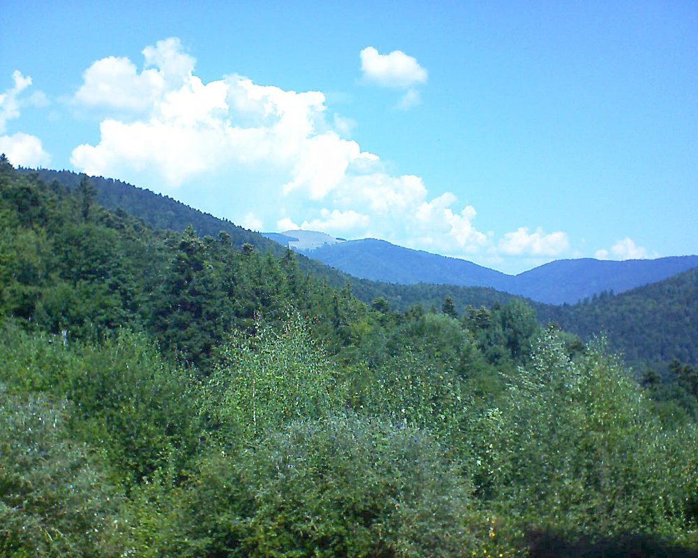 Le petit ballon vu depuis le Domaine Langmatt à Murbach le 22.08.2018 à 12:30 Le petit ballon (Alsace, Vosges) le 22.08.2018 à 12:30