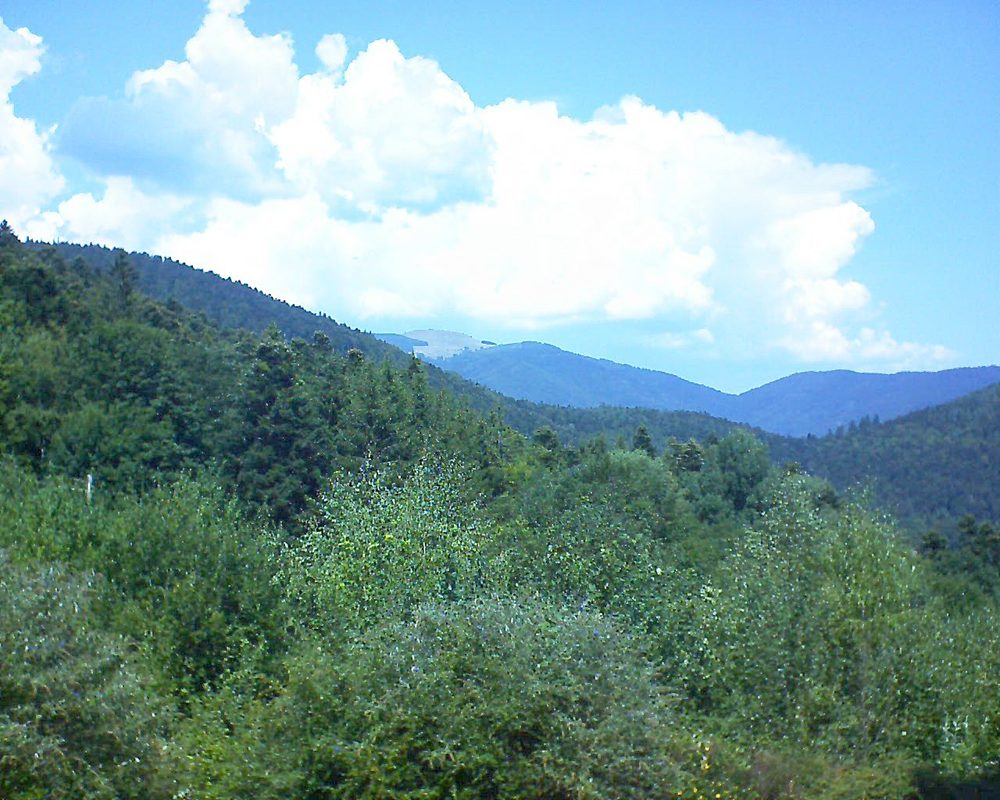 Le petit ballon vu depuis le Domaine Langmatt à Murbach le 22.08.2018 à 13:15 Le petit ballon (Alsace, Vosges) le 22.08.2018 à 13:15