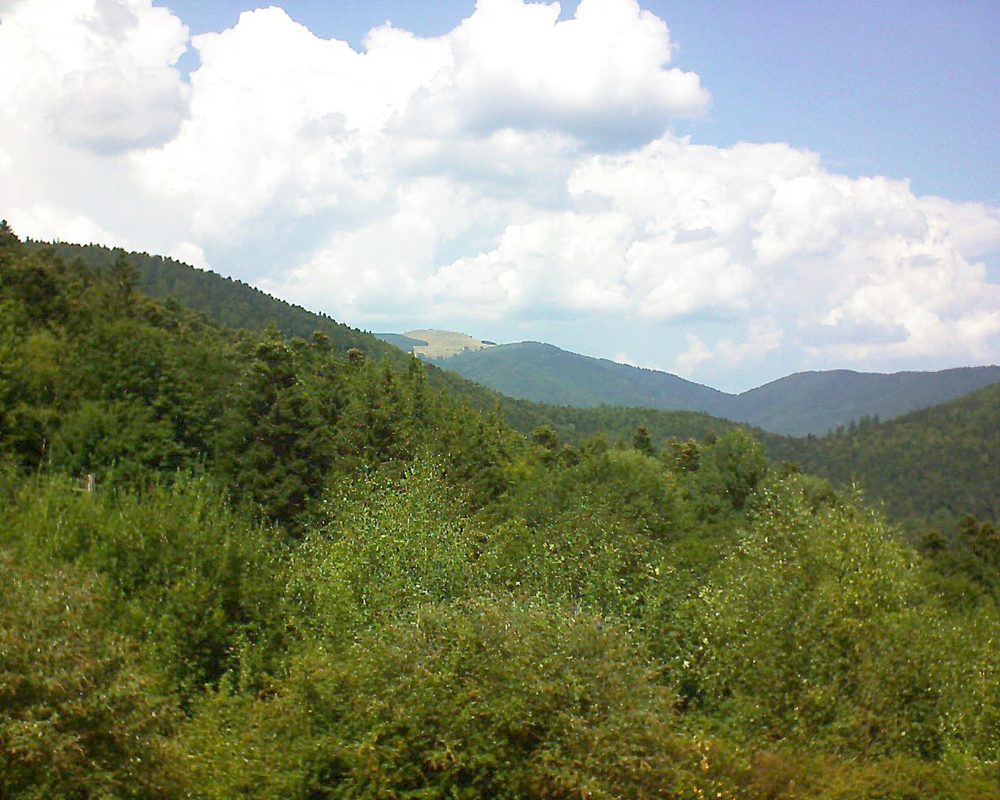 Le petit ballon vu depuis le Domaine Langmatt à Murbach le 22.08.2018 à 13:45 Le petit ballon (Alsace, Vosges) le 22.08.2018 à 13:45