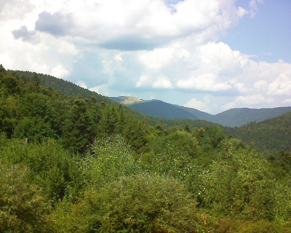 Le petit ballon vu depuis le Domaine Langmatt à Murbach le 22.08.2018 à 14:00 Le petit ballon (Alsace, Vosges) le 22.08.2018 à 14:00