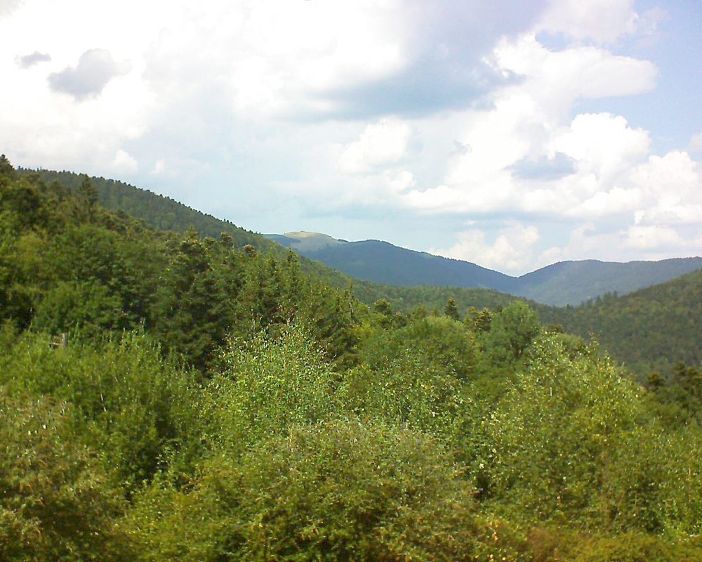 Le petit ballon vu depuis le Domaine Langmatt à Murbach le 22.08.2018 à 14:15 Le petit ballon (Alsace, Vosges) le 22.08.2018 à 14:15