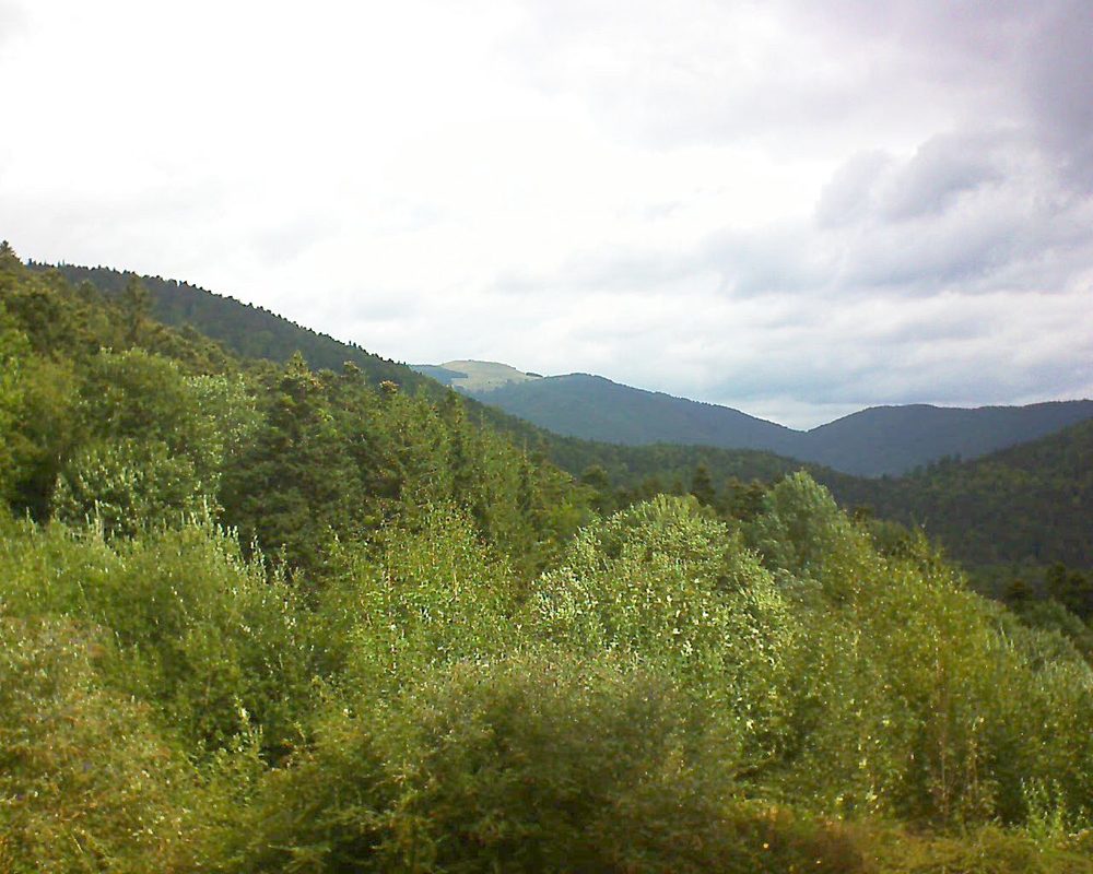 Le petit ballon vu depuis le Domaine Langmatt à Murbach le 24.08.2018 à 11:00 Le petit ballon (Alsace, Vosges) le 24.08.2018 à 11:00