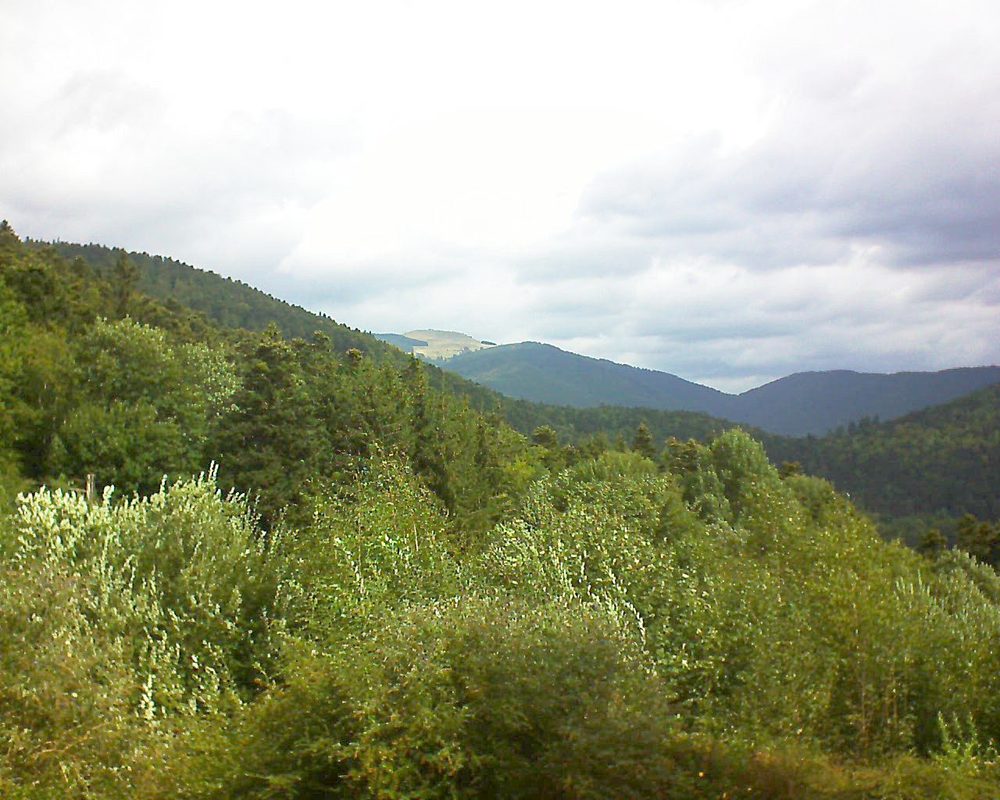 Le petit ballon vu depuis le Domaine Langmatt à Murbach le 24.08.2018 à 11:15 Le petit ballon (Alsace, Vosges) le 24.08.2018 à 11:15