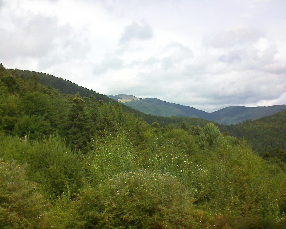 Le petit ballon vu depuis le Domaine Langmatt à Murbach le 24.08.2018 à 12:45 Le petit ballon (Alsace, Vosges) le 24.08.2018 à 12:45