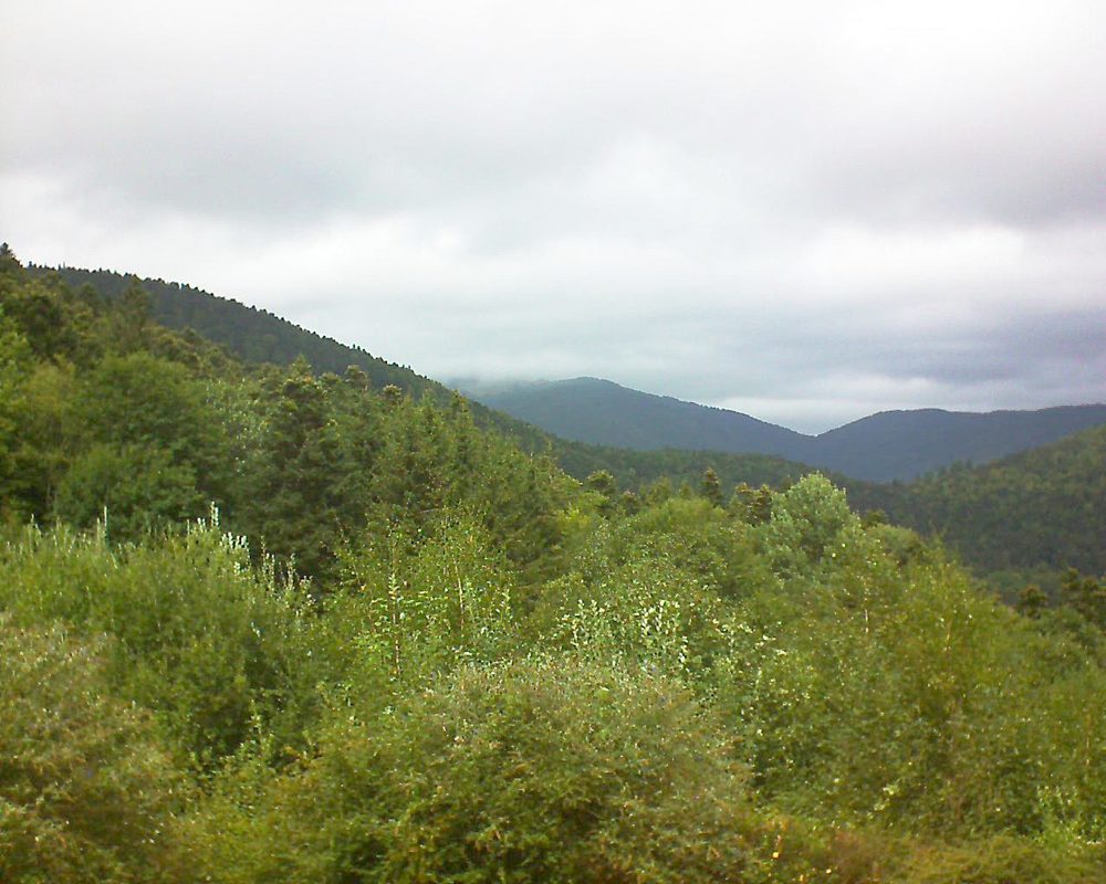 Le petit ballon vu depuis le Domaine Langmatt à Murbach le 24.08.2018 à 13:45 Le petit ballon (Alsace, Vosges) le 24.08.2018 à 13:45