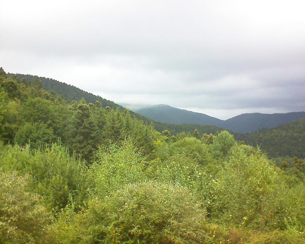 Le petit ballon vu depuis le Domaine Langmatt à Murbach le 24.08.2018 à 14:00 Le petit ballon (Alsace, Vosges) le 24.08.2018 à 14:00