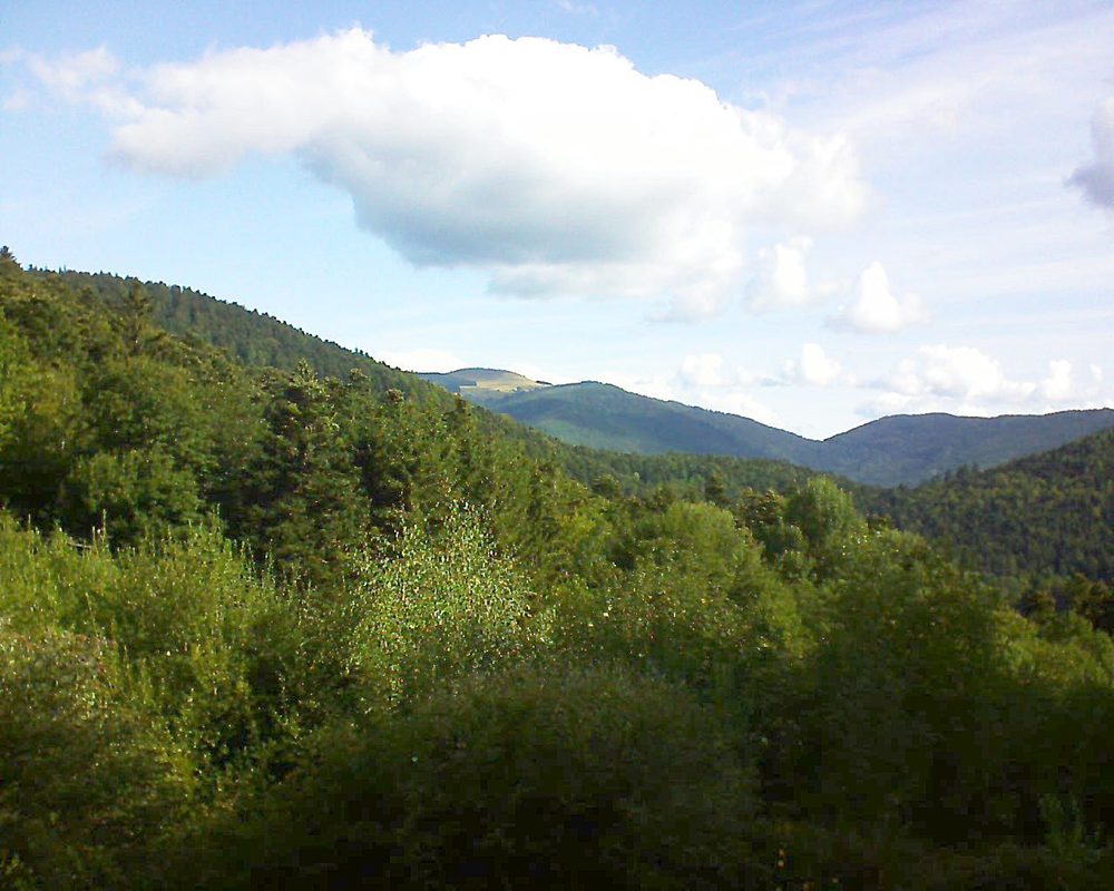 Le petit ballon vu depuis le Domaine Langmatt à Murbach le 26.08.2018 à 09:45 Le petit ballon (Alsace, Vosges) le 26.08.2018 à 09:45