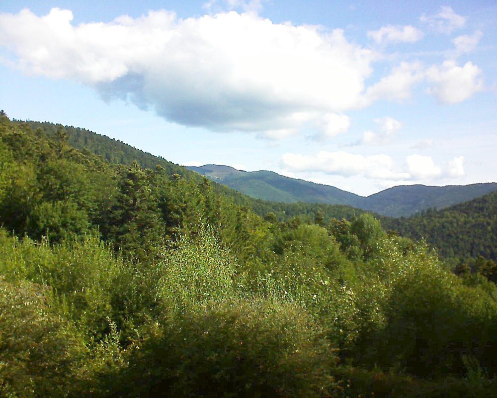 Le petit ballon vu depuis le Domaine Langmatt à Murbach le 26.08.2018 à 10:00 Le petit ballon (Alsace, Vosges) le 26.08.2018 à 10:00