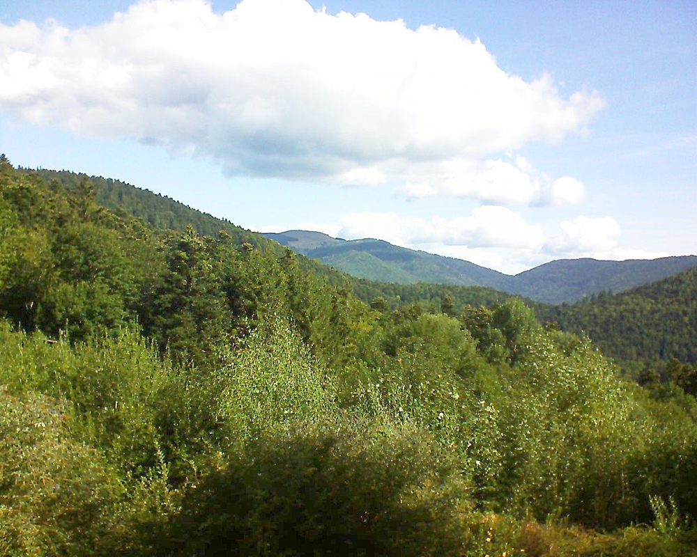 Le petit ballon vu depuis le Domaine Langmatt à Murbach le 26.08.2018 à 10:15 Le petit ballon (Alsace, Vosges) le 26.08.2018 à 10:15