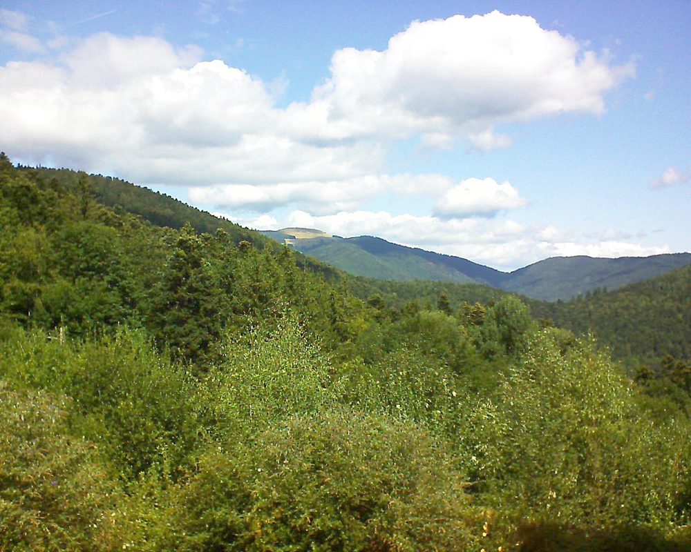 Le petit ballon vu depuis le Domaine Langmatt à Murbach le 26.08.2018 à 12:30 Le petit ballon (Alsace, Vosges) le 26.08.2018 à 12:30
