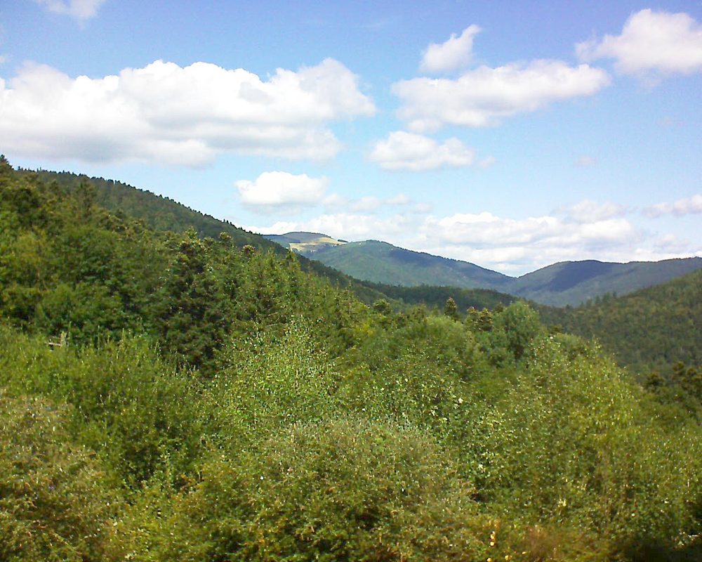 Le petit ballon vu depuis le Domaine Langmatt à Murbach le 26.08.2018 à 13:00 Le petit ballon (Alsace, Vosges) le 26.08.2018 à 13:00