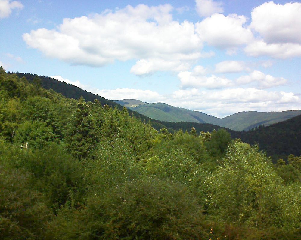 Le petit ballon vu depuis le Domaine Langmatt à Murbach le 26.08.2018 à 13:30 Le petit ballon (Alsace, Vosges) le 26.08.2018 à 13:30