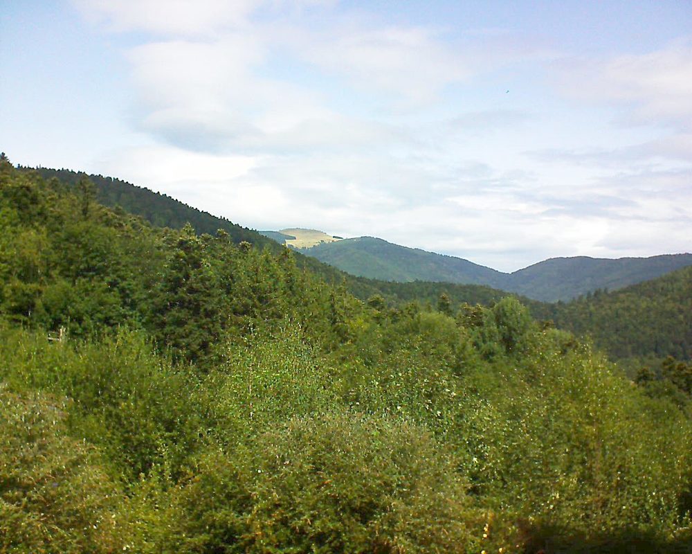 Le petit ballon vu depuis le Domaine Langmatt à Murbach le 27.08.2018 à 12:30 Le petit ballon (Alsace, Vosges) le 27.08.2018 à 12:30