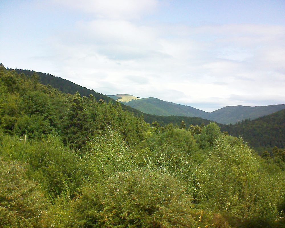Le petit ballon vu depuis le Domaine Langmatt à Murbach le 27.08.2018 à 12:45 Le petit ballon (Alsace, Vosges) le 27.08.2018 à 12:45