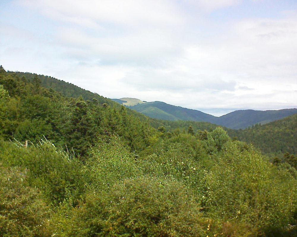 Le petit ballon vu depuis le Domaine Langmatt à Murbach le 27.08.2018 à 13:00 Le petit ballon (Alsace, Vosges) le 27.08.2018 à 13:00