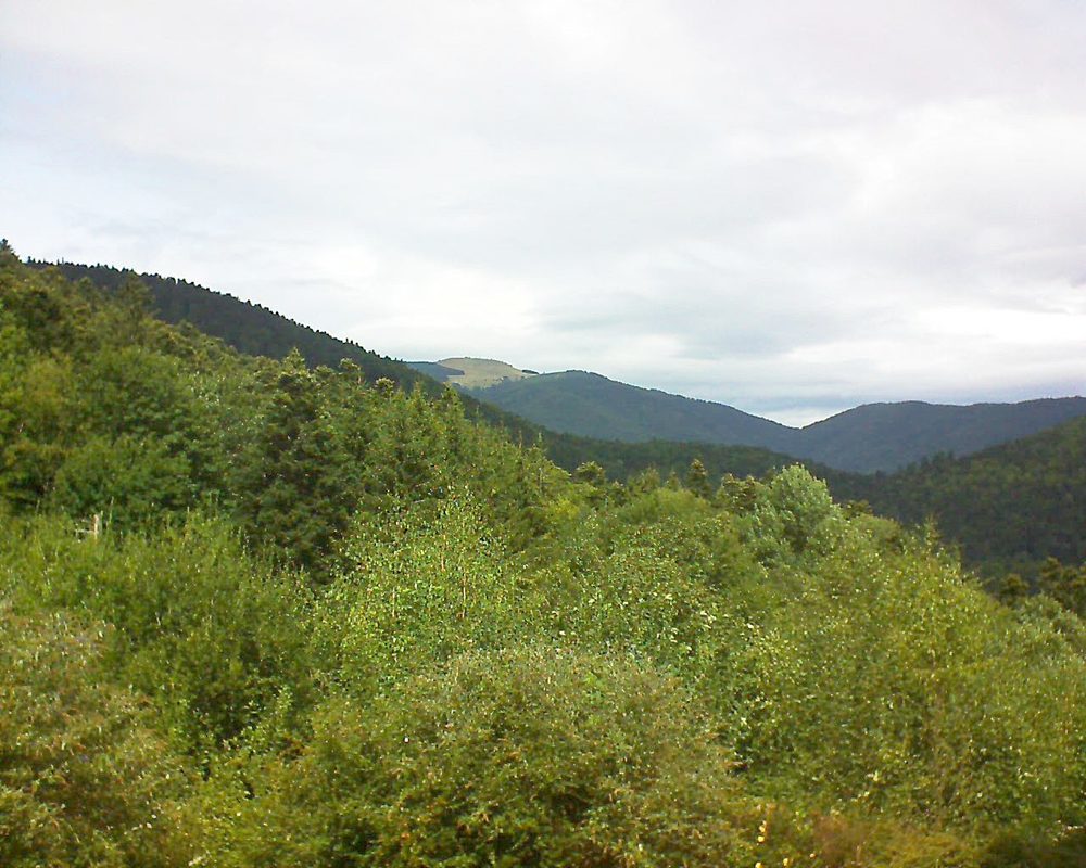 Le petit ballon vu depuis le Domaine Langmatt à Murbach le 27.08.2018 à 13:15 Le petit ballon (Alsace, Vosges) le 27.08.2018 à 13:15