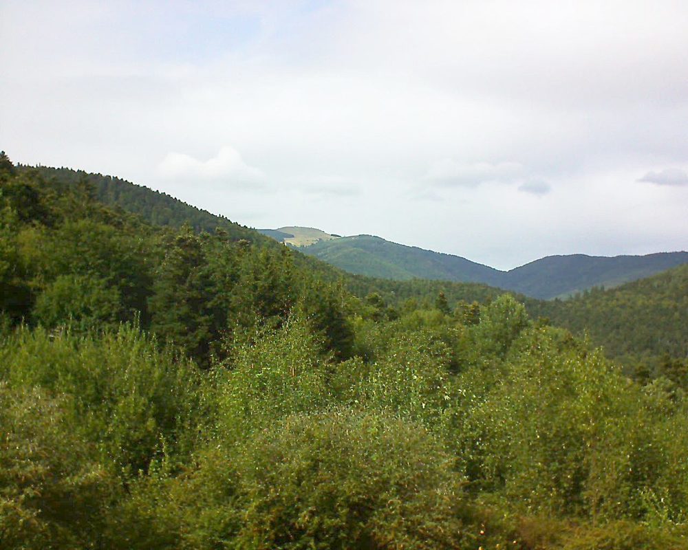 Le petit ballon vu depuis le Domaine Langmatt à Murbach le 27.08.2018 à 15:30 Le petit ballon (Alsace, Vosges) le 27.08.2018 à 15:30