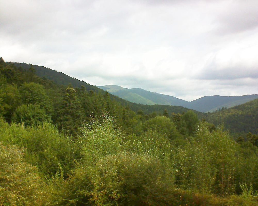 Le petit ballon vu depuis le Domaine Langmatt à Murbach le 28.08.2018 à 11:15 Le petit ballon (Alsace, Vosges) le 28.08.2018 à 11:15