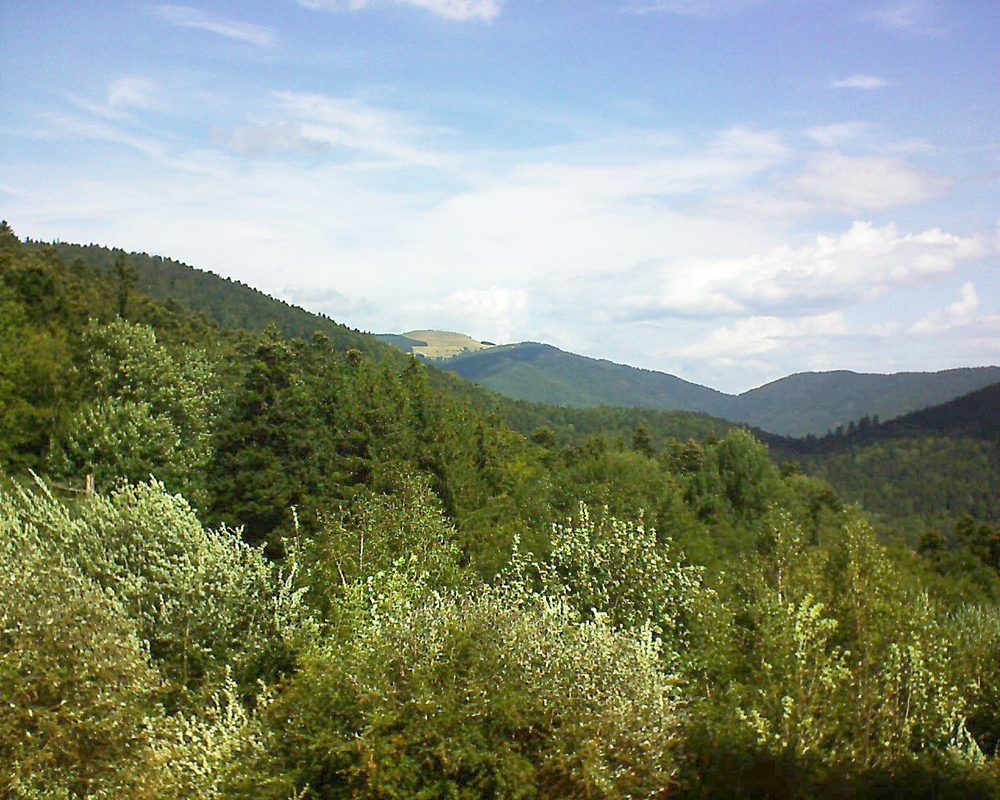 Le petit ballon vu depuis le Domaine Langmatt à Murbach le 29.08.2018 à 12:00 Le petit ballon (Alsace, Vosges) le 29.08.2018 à 12:00