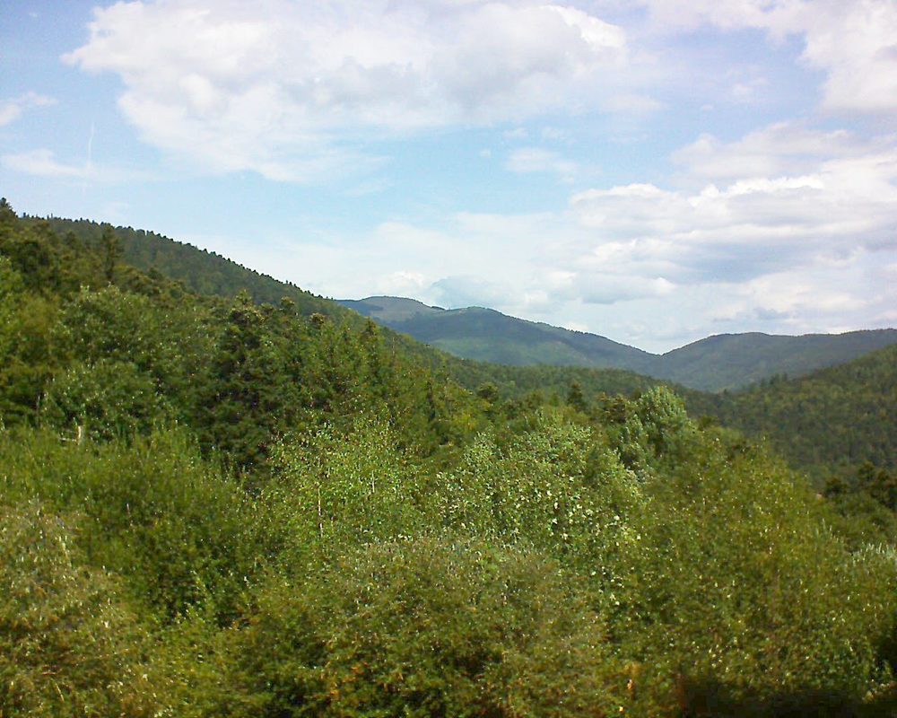 Le petit ballon vu depuis le Domaine Langmatt à Murbach le 29.08.2018 à 12:30 Le petit ballon (Alsace, Vosges) le 29.08.2018 à 12:30