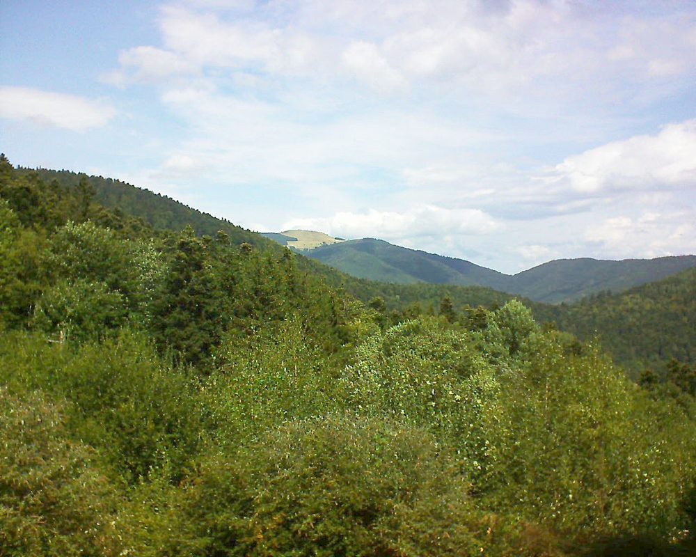 Le petit ballon vu depuis le Domaine Langmatt à Murbach le 29.08.2018 à 12:45 Le petit ballon (Alsace, Vosges) le 29.08.2018 à 12:45